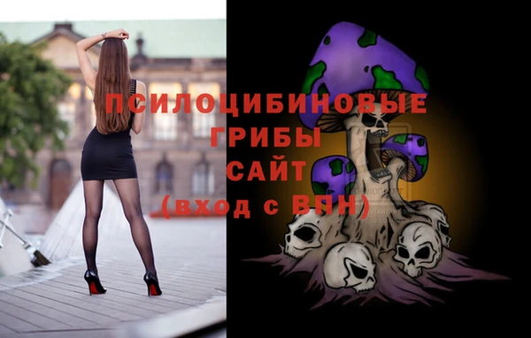 a pvp Вязники