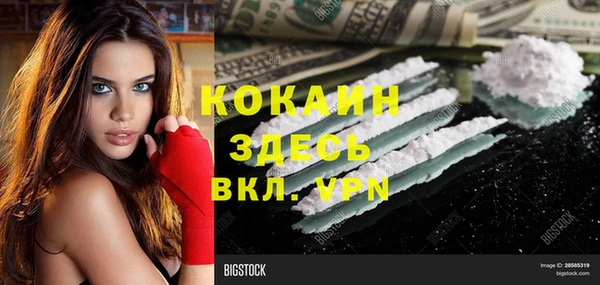 прущие крисы Вяземский