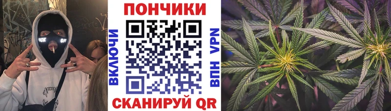 купить наркоту  Данилов  площадка какой сайт  Конопля SATIVA & INDICA 
